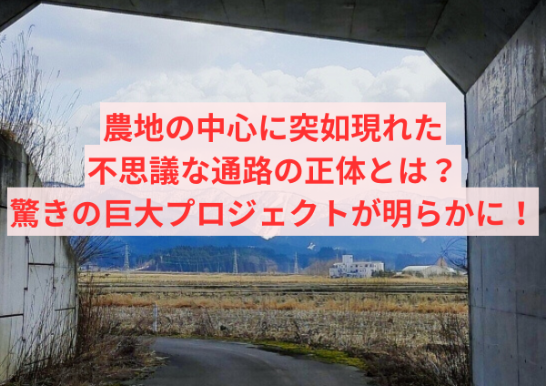 農地の中心に突如現れた不思議な通路の正体とは？驚きの巨大プロジェクトが明らかに！