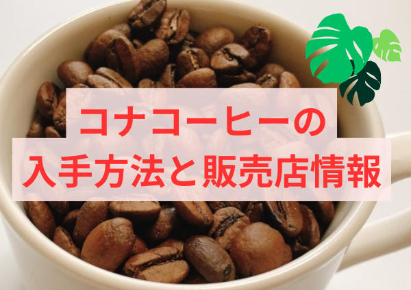 コナコーヒーの入手方法と販売店情報