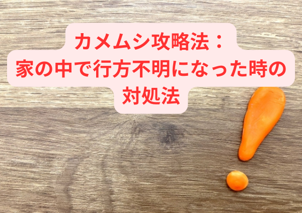 カメムシ攻略法：家の中で行方不明になった時の対処法
