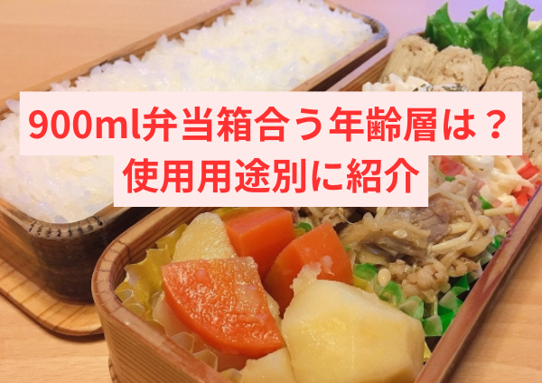900ml弁当箱が合う年齢層は？使用用途別の最適案を紹介