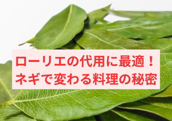 ローリエの代用に最適！ネギで変わる料理の秘密