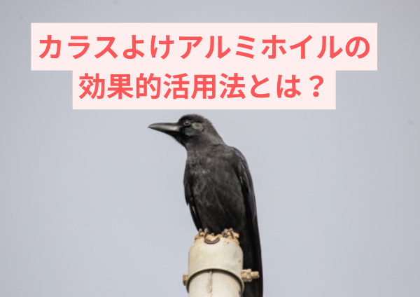 カラスよけアルミホイルの効果的活用法とは？