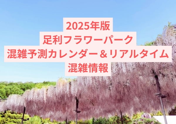 2025年版｜足利フラワーパーク混雑予測カレンダー＆リアルタイム混雑情報｜藤の見頃と混雑回避術