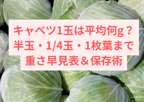 キャベツ1玉は平均何g？半玉・1/4玉・1枚葉まで重さ早見表＆保存術