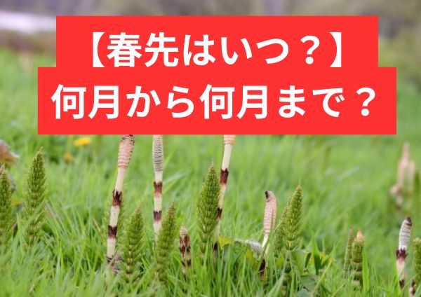 春先はいつ？何月から何月まで？意味や時期の目安をわかりやすく解説