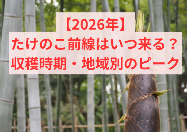 【2026年】たけのこ前線はいつ来る？収穫時期・地域別のピーク