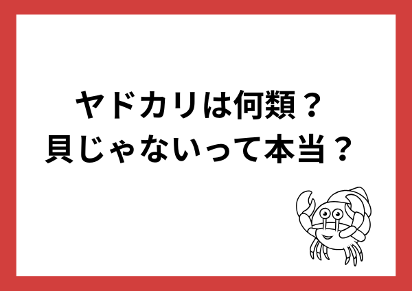 ヤドカリは何類？貝じゃないって本当？カニとの違いや殻の秘密をやさしく解説