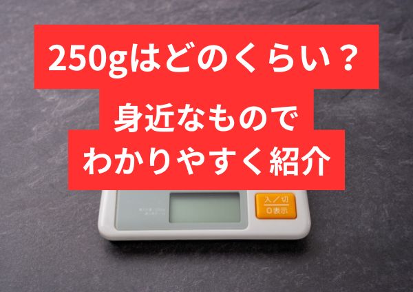 250gはどのくらい？身近なもの・ご飯・肉でわかりやすく例えて紹介